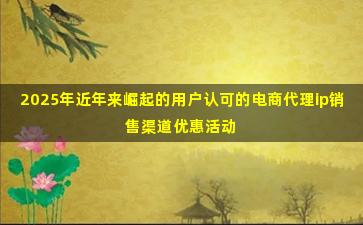 2025年近年来崛起的用户认可的电商代理ip销售渠道优惠活动