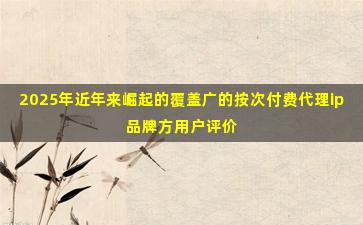 2025年近年来崛起的覆盖广的按次付费代理ip品牌方用户评价