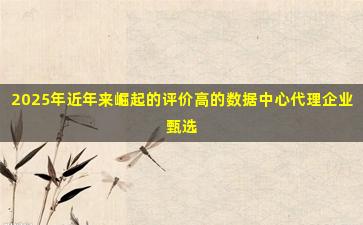 2025年近年来崛起的评价高的数据中心代理企业甄选
