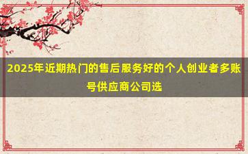 2025年近期热门的售后服务好的个人创业者多账号供应商公司选购攻略