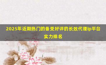 2025年近期热门的备受好评的长效代理ip平台实力排名
