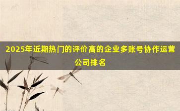 2025年近期热门的评价高的企业多账号协作运营公司排名