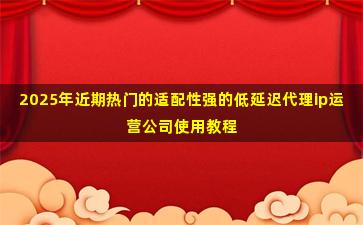 2025年近期热门的适配性强的低延迟代理ip运营公司使用教程