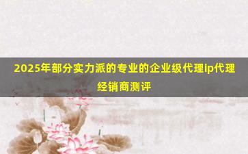 2025年部分实力派的专业的企业级代理ip代理经销商测评