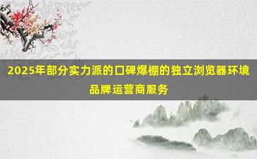 2025年部分实力派的口碑爆棚的独立浏览器环境品牌运营商服务内容