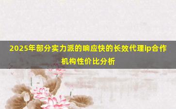 2025年部分实力派的响应快的长效代理ip合作机构性价比分析