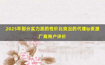 2025年部分实力派的性价比突出的代理ip资源厂商用户评价