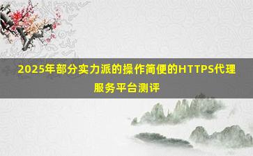 2025年部分实力派的操作简便的HTTPS代理服务平台测评