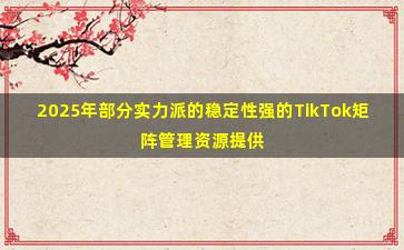 2025年部分实力派的稳定性强的TikTok矩阵管理资源提供商指南