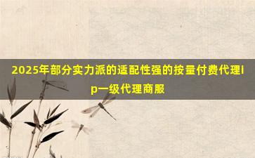 2025年部分实力派的适配性强的按量付费代理ip一级代理商服务内容