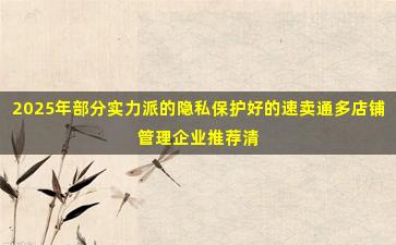 2025年部分实力派的隐私保护好的速卖通多店铺管理企业推荐清单