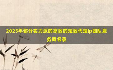 2025年部分实力派的高效的短效代理ip团队服务商名录