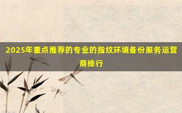 2025年重点推荐的专业的指纹环境备份服务运营商排行