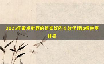2025年重点推荐的信誉好的长效代理ip提供商排名