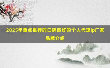 2025年重点推荐的口碑良好的个人代理ip厂家品牌介绍