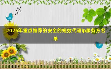 2025年重点推荐的安全的短效代理ip服务方名单