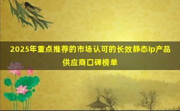 2025年重点推荐的市场认可的长效静态ip产品供应商口碑榜单