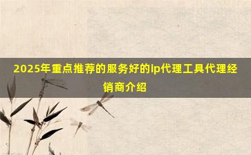 2025年重点推荐的服务好的ip代理工具代理经销商介绍