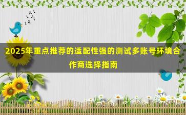 2025年重点推荐的适配性强的测试多账号环境合作商选择指南