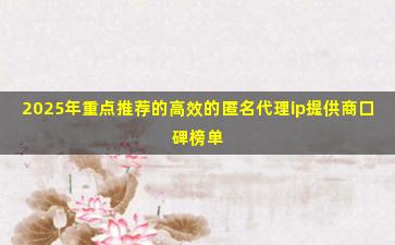2025年重点推荐的高效的匿名代理ip提供商口碑榜单