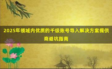 2025年领域内优质的千级账号导入解决方案提供商避坑指南