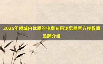 2025年领域内优质的电商专用浏览器官方授权商品牌介绍