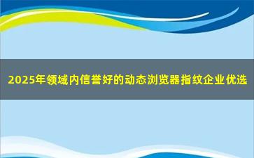 2025年领域内信誉好的动态浏览器指纹企业优选