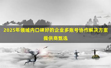 2025年领域内口碑好的企业多账号协作解决方案提供商甄选