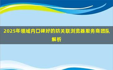 2025年领域内口碑好的防关联浏览器服务商团队解析