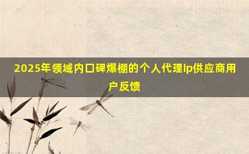 2025年领域内口碑爆棚的个人代理ip供应商用户反馈