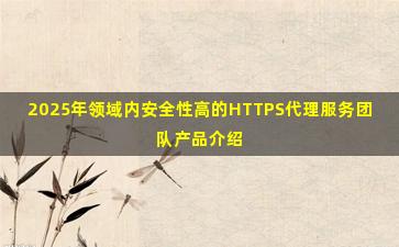 2025年领域内安全性高的HTTPS代理服务团队产品介绍