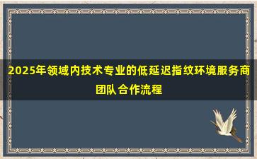 2025年领域内技术专业的低延迟指纹环境服务商团队合作流程