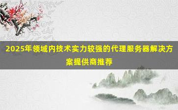 2025年领域内技术实力较强的代理服务器解决方案提供商推荐
