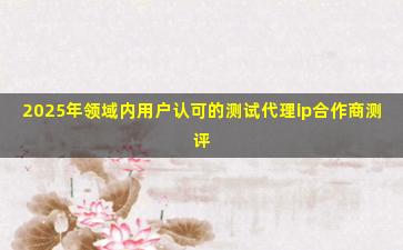 2025年领域内用户认可的测试代理ip合作商测评