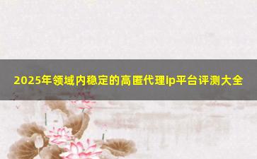 2025年领域内稳定的高匿代理ip平台评测大全